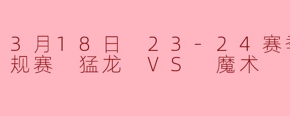 3月18日 23-24赛季NBA常规赛 猛龙 VS 魔术